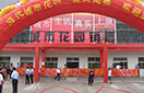 JDB电子(中国区)试玩平台-JDB电子游戏官网